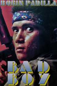 Bad Boy (Digitally Enhanced)